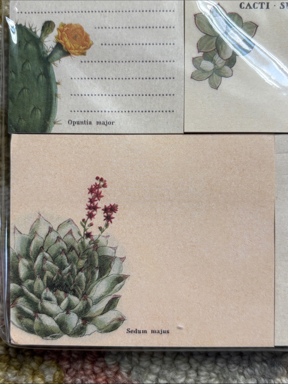 Cavallini &Co. Sticky Notes Succulents NWT 300 count 5 separate sticky note pads - Picture 7 of 16